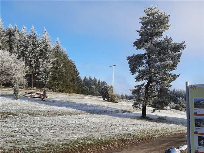 Die Eifeltraumpfade bieten tolle Landschaften und bleibende Eindrücke. Fotos: privat