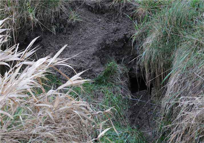 Die Eingänge sind teilweise 25 bis 40 Zentimeter groß.