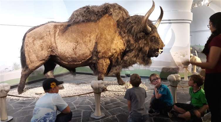 Die Eiszeitausstellung auf der Festung Ehrenbreitstein fanden die Kinder besonders toll.privat