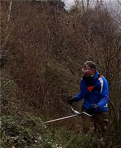 Die Entbuschung.Foto: privat