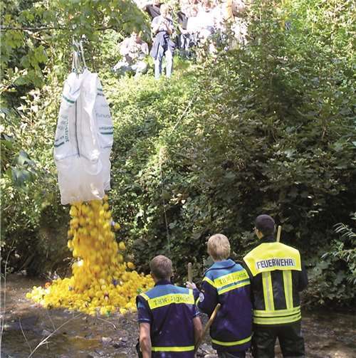 Die Enten stürzen sich auch dieses Jahr wieder in die „Fluten“. Archiv PS