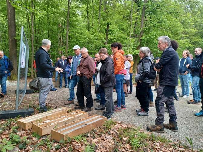 Die Erkundungsbohrungen am Dielkopf im letzten Sommer waren erfolgreich. In einer Tiefe von 130 Metern wurde ausreichend Grundwasser gefunden, so dass an dieser Stelle nun ein neuer Tiefbrunnen gebaut wird. Anhand der Bohrkerne konnten sich die Teilnehmer der Wasserwanderung über die hydrogeologischen Besonderheiten des Standorts informieren.  Foto: VG Montabaur / Christina Weiß