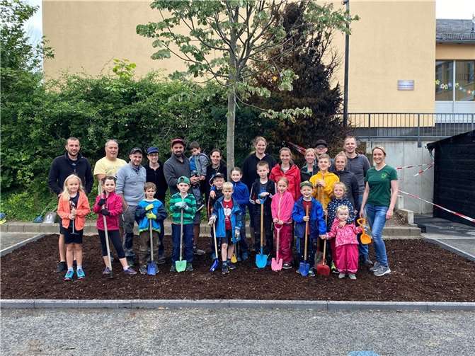 Die Erstklässler der Grundschule Pfarrer-Bechtel in Mendig brachten das Beet wieder in Schuss.  Fotos: privat