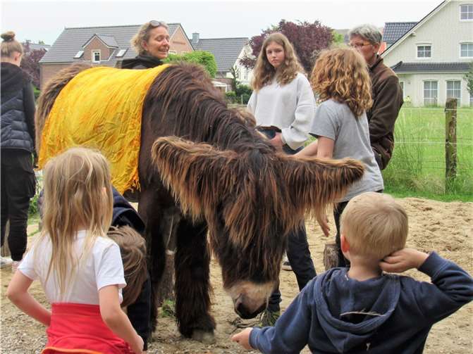 Die Esel Fridolin und Freddy waren auf ihre Weise gute Lehrmeister.