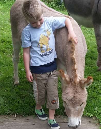 Die Esel Georgy und Cloony werden sicherlich bei der Tour dabei sein. Foto:privat