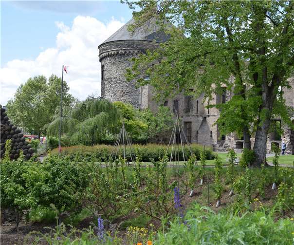 Die Essbare Stadt Andernach gilt als weltweites Vorbild  Die Essbare Stadt Andernach dient international als Vorbild. Fotos: -UBU-