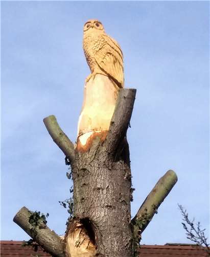 Die Eule ist ein Werk des Holzkünstlers Oliver Schulz. privat