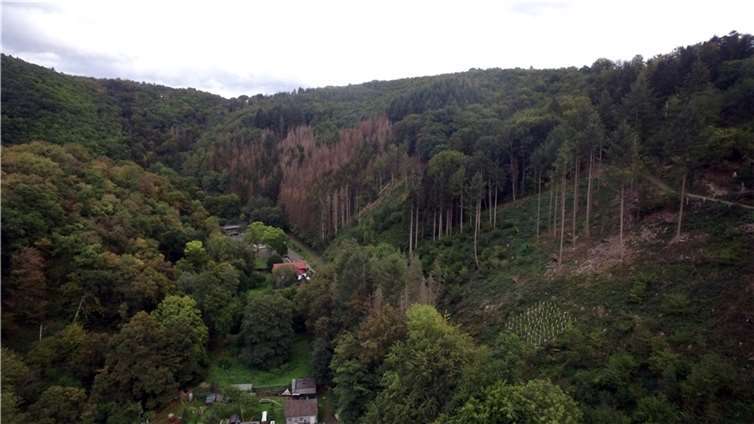Die Exkursion führt auch ins Brexbachtal.  Foto: Stadt Bendorf