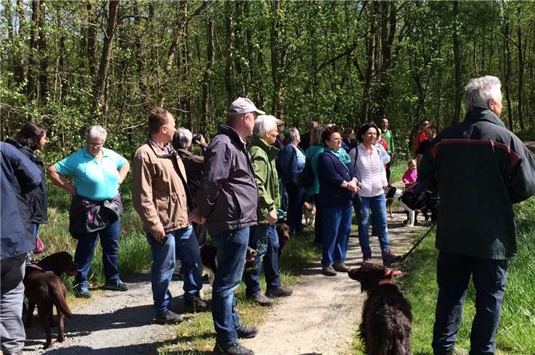 Die Exkursion führte in diesem Jahr durch den „Brückrachdorfer Teil“ des Stadtwaldes. privat