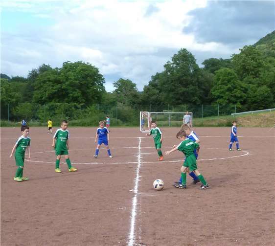 Die F-Jugend bestritt ihr letztes Saisonspiel.