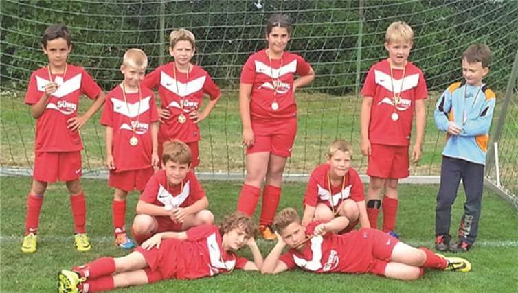 Die F-Jugend in der aktuellen Aufstellung. privat