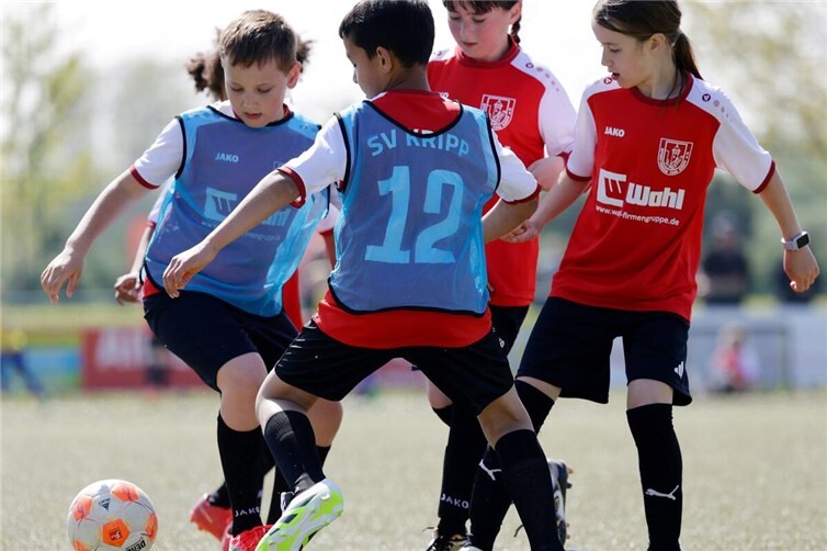 Die F1-Junioren und die E-Juniorinnen trafen beim FUNino-Turnier in Kripp aufeinander.