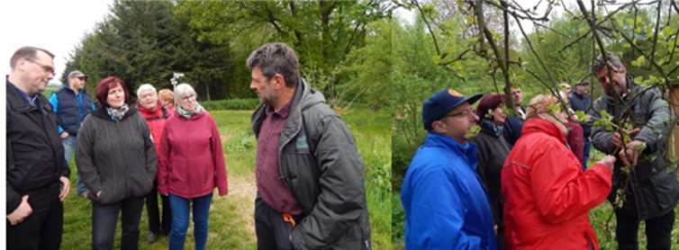 Die FWG Kettig hatte zu einer Wanderung durch die Streuobstwiesen eingeladen. Foto: Andreas Klein