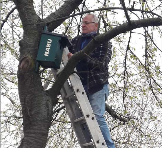 Die FWG hat Nistkästen an Bäumen auf gemeindeeigenen Grundstücken aufgehangen. Foto: privat