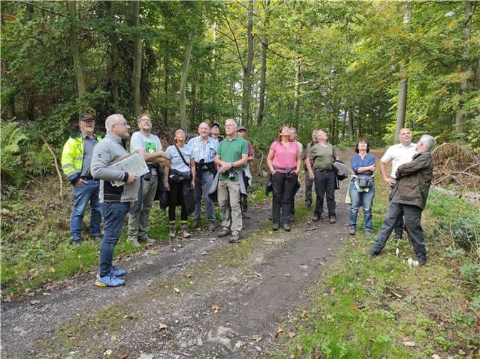 Die Fachexkursion lieferte Einblicke in nachhaltige Forstwirtschaft. Fotos: Stefan Göbel , Walbauverein