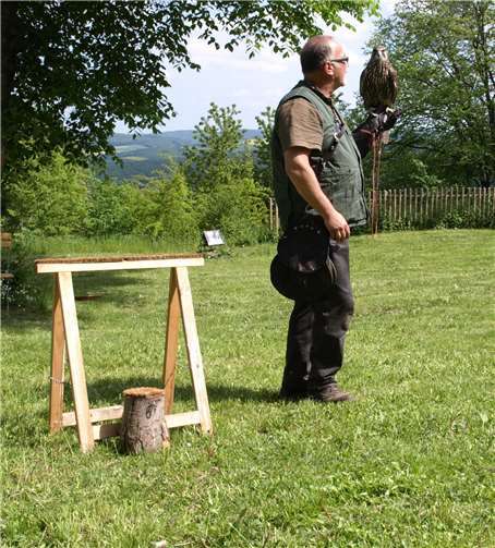 Die Falknerei Dippel aus Ochtendung ist von 11 bis 17 Uhr zu Gast auf Burg Olbrück. privat