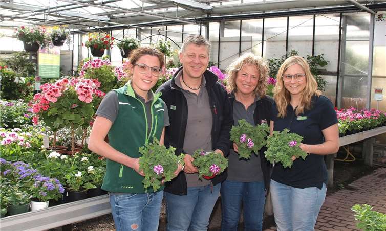 Die Familie Fink, hier mit Jana (Juniorchefin), Friedhelm (Seniorchef), Heike (Seniorchefin) und Alina Fink (v.l.) garantiert für ihre hochwertigen Pflanzen aus der Region und aus eigenem Anbau. In ihren Händen halten sie die rheinland-pfälzische Balkonpflanze des Jahres „Prinzessin Amarena“.  US