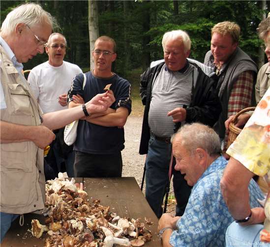 Die Faszination ist groß. Da der Verzehr aber nicht der Gesundheit schaden soll, ist es wichtig, Einiges über die Pilzsammlerei zu wissen.Foto: privat
