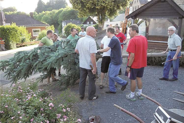 Die Feierlichkeiten begannen mit der Aufstellung des Kirmesbaumes.