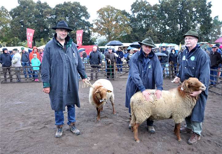 Die Fell-Beurteilung war eine der Wertungskriterien.