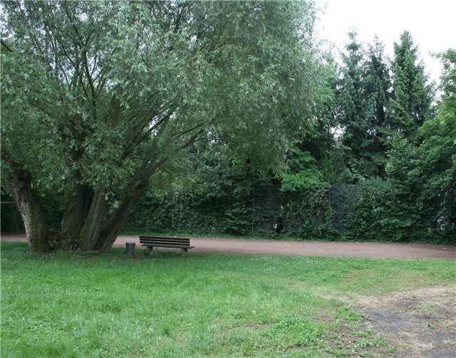 Die Fertigstellung der Sanierung des Bolzplatzes wird nach der Aufhebung der Ausschreibung wohl noch etwas auf sich warten lassen. WER