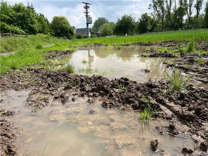 Die Feuchtwiesen in Münstermaifeld Sevenich.  Foto: Gavin Grosvenor