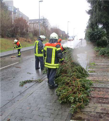 Die Feuerwehr Höhr-Grenzhausen und Hilgert im Einsatz zur Bewältigung der Sturmschäden. Feuerwehr Höhr-Grenzhausen
