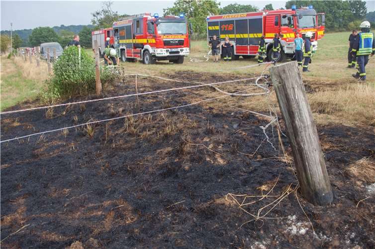 Die Feuerwehr Puderbach war mit 20 Kräften im Einsatz.  Foto: Feuerwehr VG Puderbach