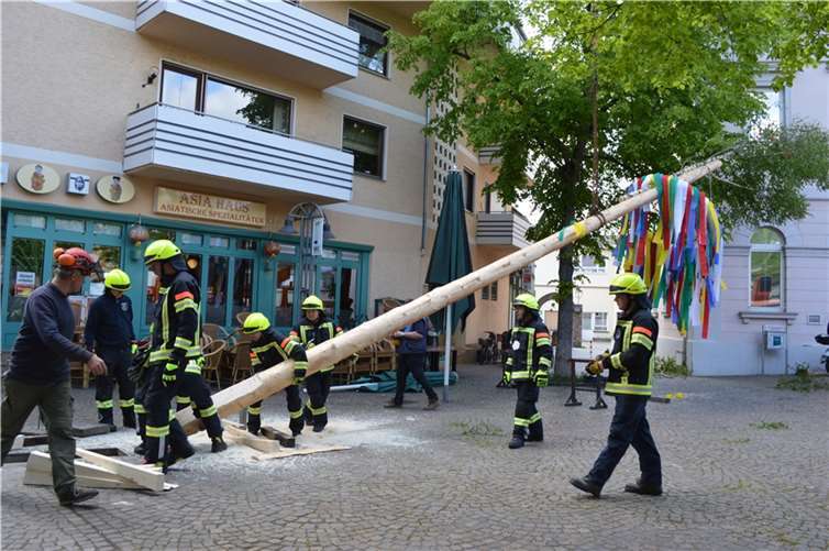 Die Feuerwehr half dem Ortsbeirat Remagen gemeinsam mit Heribert Langen und Johannes Lückenbach beim Aufstellen des Maibaumes.  Fotos: AB