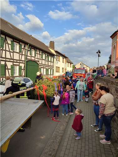 Die Feuerwehr holte unter der Leitung ihres Löschgruppenführer Manfred Schmitz den Maibaum aus dem Wald und stellte diesen gewohnt souverän auf.