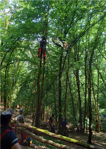 Die Feuerwehr konnte den Betroffenen im Rahmen einer technischen Rettung aus der nicht einfachen Lage befreien.Foto: privat