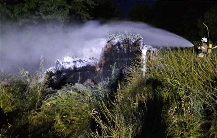 Die Feuerwehr konnte die Ausbreitung des Feuers verhindern. Polizei