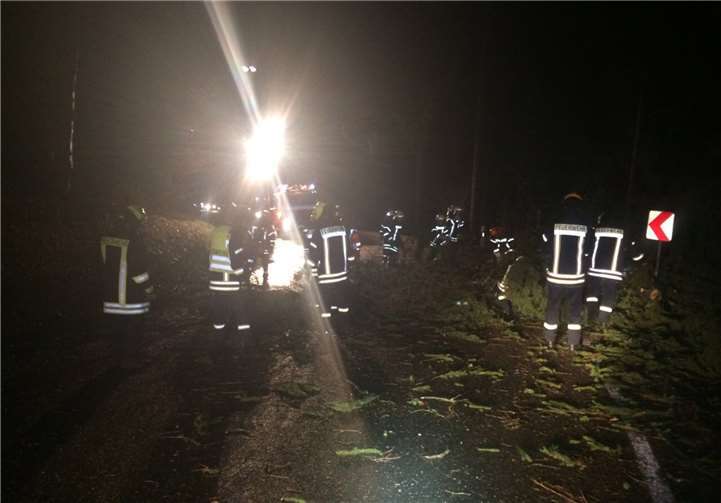 Die Feuerwehren der Verbandsgemeinde Adenau mussten vielerorts die Straßen von umgestürzten Bäumen beseitigen. Foto: FFW Adenau