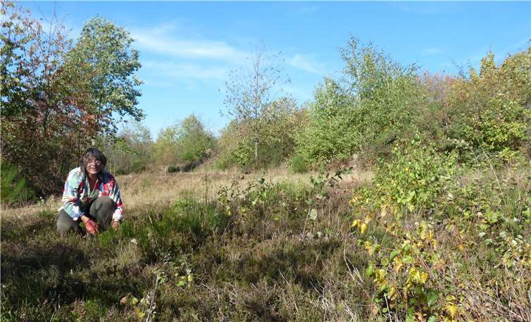 Die Fläche vor der Pflege. privat