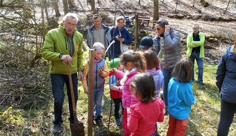 Die Flatterulme wurde von den Kindern der Naturschutzgruppe Herschbach gepflanzt. Foto: privat