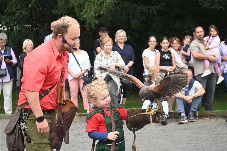 Die Flugvorführungen der Greifvogelstation Hellenthal lockten wieder zahlreiche Besucher in die Burggärten.
