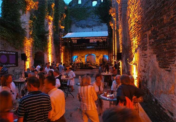 Die Folk-Rock-Band „Schandmaul“ sind am 1. Juni beim Festival in Marienthal live zu erleben. Jodocus Obscuros