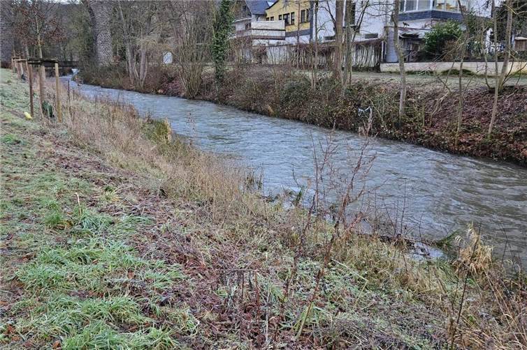 Nette-Pegel und Brücken im Fokus Die Fotos zeigen den aktuellen Pegel der Nette im Bereich der Bürresheimer Straße am Mittwochmorgen.Fotos: Jasmin Alter / Stadt Mayen