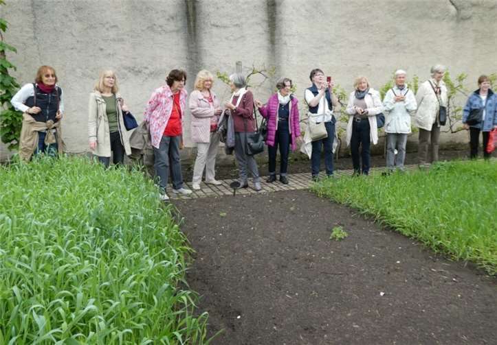 Die Frauen des Frauentreffs Meckenheim verbrachten ein schönes Wochenende in Bamberg. privat