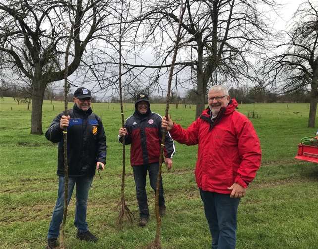 Die Freie Wählergruppe Weitersburg e.V. (FWG) spendete drei Obstbäume zur Aufstockung der vorhandenen Streuobstbaumbestände.Foto: Privat