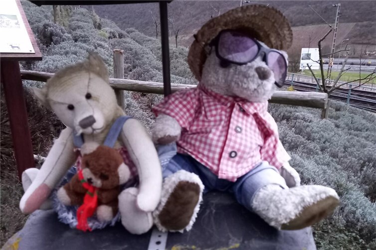 Die Freude über die Auszeichnung ist nicht nur bei den Razejungen groß. Auch die Teddy-Familie, das Maskottchen des Razejungewingerts, die das ganze Jahr über die Aktivitäten der Vereinsmitglieder beobachtet, ist begeistert. Foto: privat