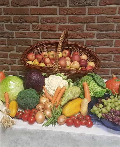 Die Früchte des Gartens wurden ausgestellt.  Privat