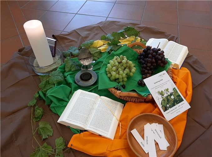 Die Früchte des Weinstocks.