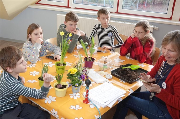 Die Frühblüher stehen im Mittelpunkt der NAJU-Gruppenstunde.