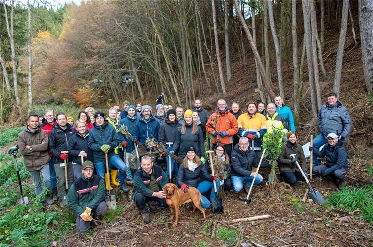 Die Führungskräfte der evm pflanzten mehr als 300 junge Bäume in einem Waldstück am Wirftbach in der Gemeinde Barweiler. Foto: Peter Seydel/evm