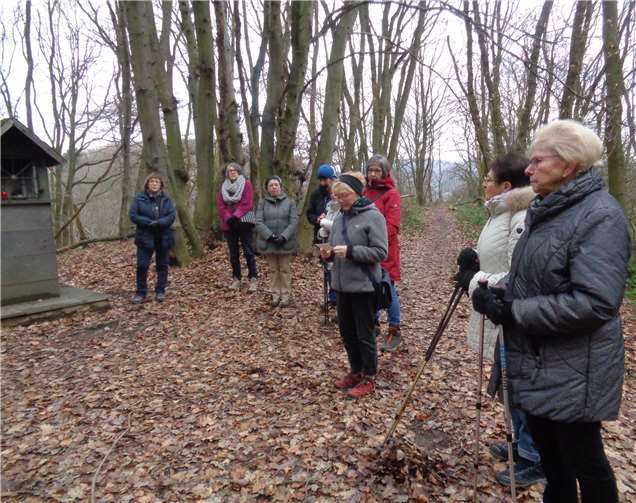 Die Fußpilger hielten eine Meditation am Bildstock im Laacher Wald.