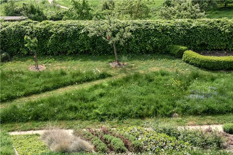 Die GRÜNEN im Brohltal unterstützen die Initiative „No Mow May“ und rufen dazu auf, den Rasenmäher (mindestens) im Mai stehen zu lassen. Foto: Albert Dietz