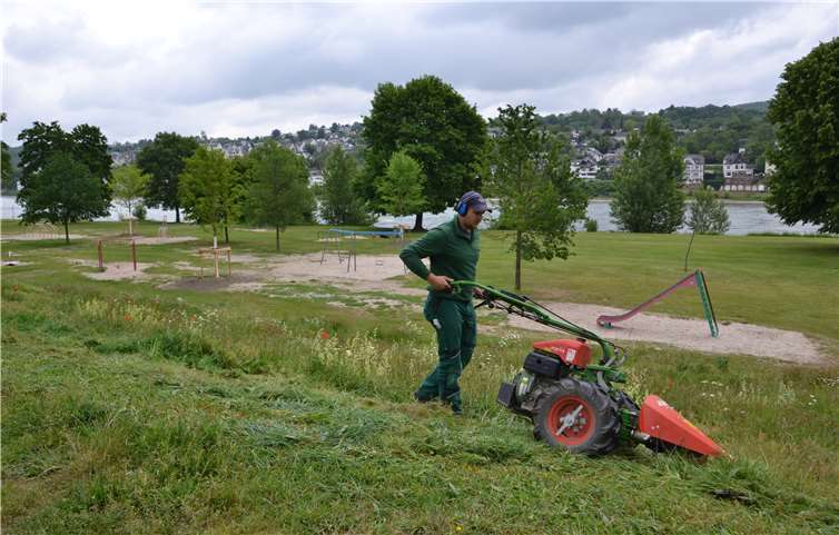 Die Gärtner greifen bei der Pflege auf traditionelles Wissen der Landwirte zurück, das abschnittsweise Mähen. Foto:Stadt Koblenz