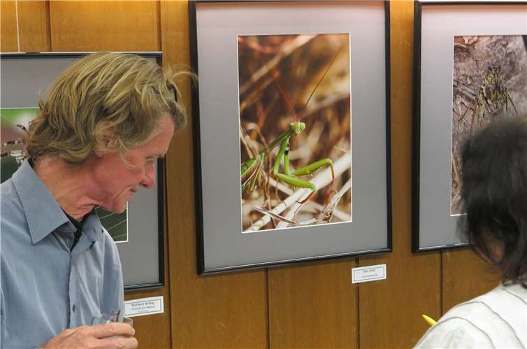 Die Gäste wählten als bestes Bild die „Gottesanbeterin“ von Elke Dahl. Gemeinde Wachtberg/mm