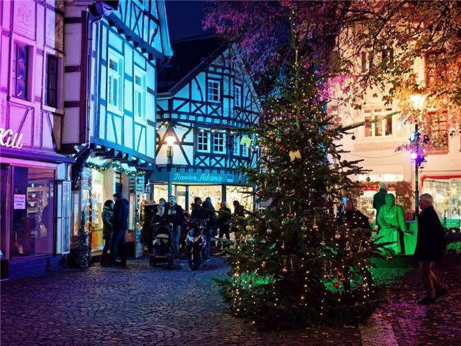 Die Gassen und Plätze der Linzer Altstadt sollen wieder von zahlreichen Weihnachtsbäumen geschmückt werden und für gemütliche Atmosphäre in der Weihnachtszeit sorgen.Foto: Tobias Lehmann